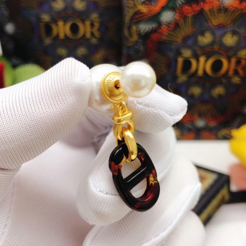 Christian Dior Earrings